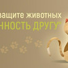 Общества и фонды в Пинске » Благотворительное учреждение по защите животных "Преданность другу"