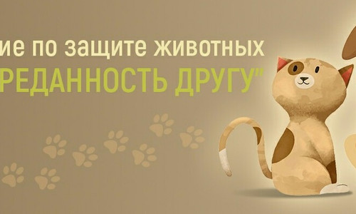 Благотворительное учреждение по защите животных "Преданность другу"