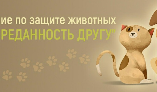 Благотворительное учреждение по защите животных "Преданность другу"