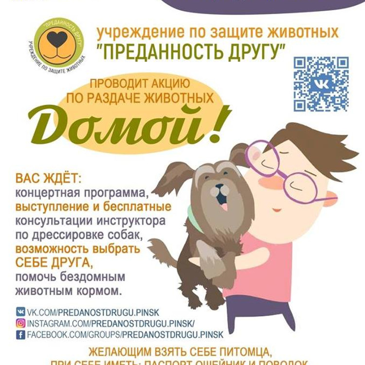 Акция по раздаче животных Акция по раздаче животных