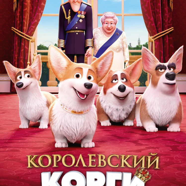 Королевский корги Королевский корги