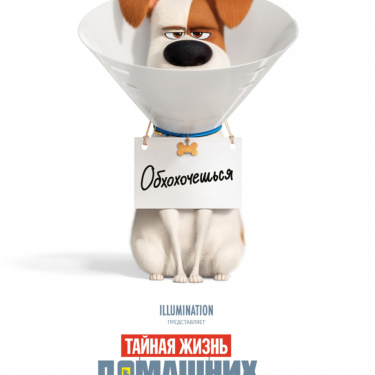 Тайная жизнь домашних животных 2 Тайная жизнь домашних животных 2