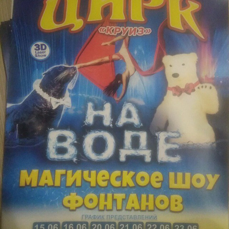 Цирк на воде "Круиз" Цирк на воде "Круиз"