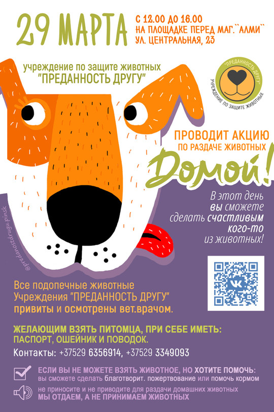 АКЦИЯ по поиску ДОМА для БЕЗДОМНЫХ ЖИВОТНЫХ АКЦИЯ по поиску ДОМА для БЕЗДОМНЫХ ЖИВОТНЫХ