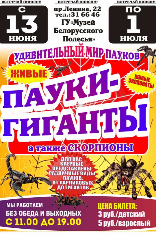 Удивительный мир пауков Удивительный мир пауков