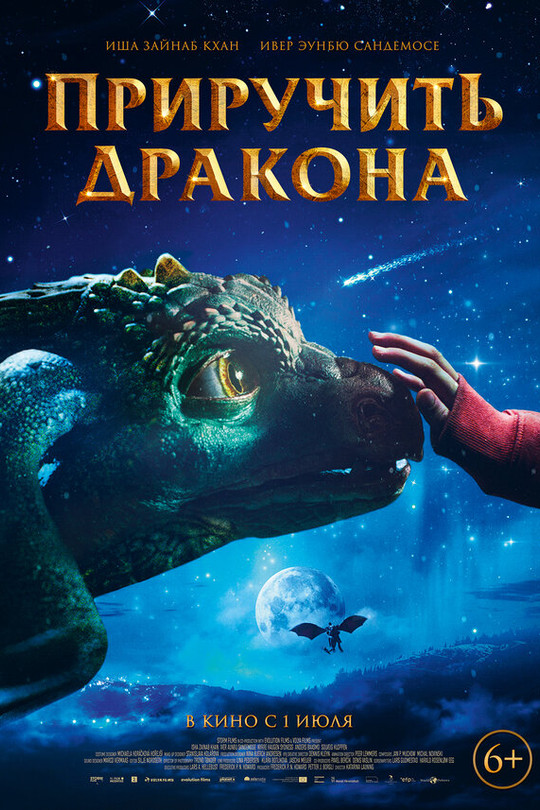 Приручить дракона Приручить дракона