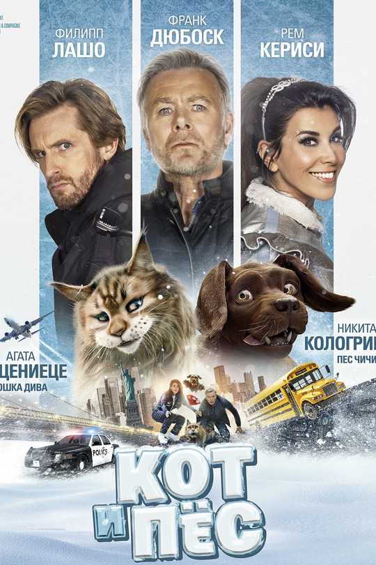 Кот и пёс Кот и пёс